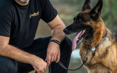 Ποια είναι τα πλεονεκτήματα του να είσαι Εκπαιδευτής Σκύλων?