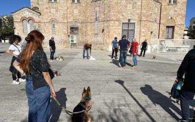 Μια λέξη που λίγοι πραγματικά γνωρίζουν. Εσύ ξέρεις τι είναι η κοινωνικοποίηση ενός σκύλου?