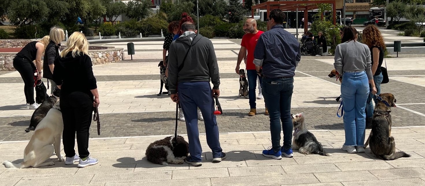 Dog Brain Academy | Εκπαίδευση Σκύλων